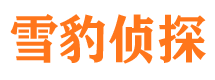 内黄婚外情调查取证